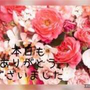 ヒメ日記 2024/12/25 17:53 投稿 紗奈(さな) 高知デリヘル倶楽部 人妻熟女専門店
