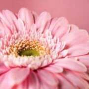 ヒメ日記 2025/01/19 23:01 投稿 紗奈(さな) 高知デリヘル倶楽部 人妻熟女専門店