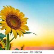 ヒメ日記 2025/01/23 19:03 投稿 紗奈(さな) 高知デリヘル倶楽部 人妻熟女専門店