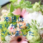 ヒメ日記 2025/01/24 00:49 投稿 紗奈(さな) 高知デリヘル倶楽部 人妻熟女専門店