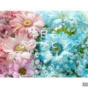 ヒメ日記 2025/01/26 23:45 投稿 紗奈(さな) 高知デリヘル倶楽部 人妻熟女専門店