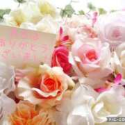 ヒメ日記 2025/03/24 08:35 投稿 紗奈(さな) 高知デリヘル倶楽部 人妻熟女専門店