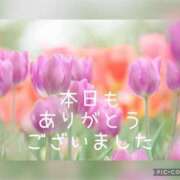 ヒメ日記 2025/04/04 16:16 投稿 紗奈(さな) 高知デリヘル倶楽部 人妻熟女専門店