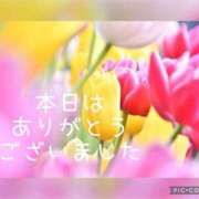 ヒメ日記 2025/04/04 18:53 投稿 紗奈(さな) 高知デリヘル倶楽部 人妻熟女専門店