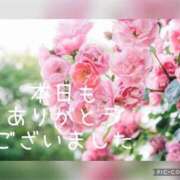 ヒメ日記 2025/04/12 02:01 投稿 紗奈(さな) 高知デリヘル倶楽部 人妻熟女専門店