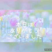 ヒメ日記 2025/04/14 22:19 投稿 紗奈(さな) 高知デリヘル倶楽部 人妻熟女専門店