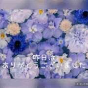 ヒメ日記 2025/04/19 12:45 投稿 紗奈(さな) 高知デリヘル倶楽部 人妻熟女専門店