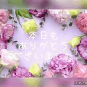 ヒメ日記 2025/04/20 01:44 投稿 紗奈(さな) 高知デリヘル倶楽部 人妻熟女専門店