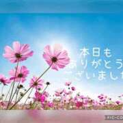 ヒメ日記 2025/05/06 02:24 投稿 紗奈(さな) 高知デリヘル倶楽部 人妻熟女専門店