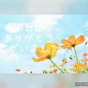 ヒメ日記 2025/05/06 02:30 投稿 紗奈(さな) 高知デリヘル倶楽部 人妻熟女専門店