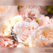 ヒメ日記 2025/05/09 01:43 投稿 紗奈(さな) 高知デリヘル倶楽部 人妻熟女専門店