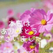 ヒメ日記 2025/05/31 14:29 投稿 紗奈(さな) 高知デリヘル倶楽部 人妻熟女専門店