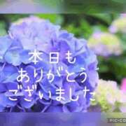 ヒメ日記 2025/06/28 16:23 投稿 紗奈(さな) 高知デリヘル倶楽部 人妻熟女専門店