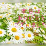 紗奈(さな) お礼♡リピ様 高知デリヘル倶楽部 人妻熟女専門店