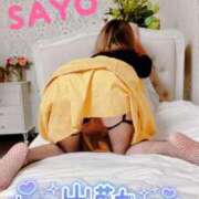 ヒメ日記 2025/11/16 09:29 投稿 さよ 成田人妻花壇