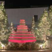 ヒメ日記 2025/12/17 13:02 投稿 くるみ おいしい奥様