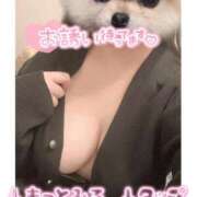 ヒメ日記 2025/03/06 20:29 投稿 ひまわり サンキュー厚木店