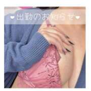 ヒメ日記 2025/03/21 13:59 投稿 ひまわり サンキュー厚木店