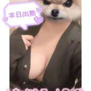 ヒメ日記 2025/04/28 13:50 投稿 ひまわり サンキュー厚木店