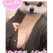 ヒメ日記 2025/05/07 17:10 投稿 ひまわり サンキュー厚木店