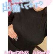 ヒメ日記 2025/05/10 15:04 投稿 ひまわり サンキュー厚木店