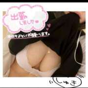 ヒメ日記 2025/10/02 14:39 投稿 ひまわり サンキュー厚木店