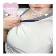 ヒメ日記 2025/03/20 15:13 投稿 ひまわり サンキュー町田・相模原店