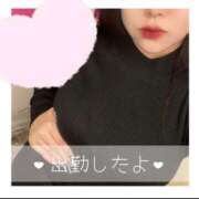 ヒメ日記 2025/04/29 14:07 投稿 ひまわり サンキュー町田・相模原店