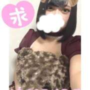 ヒメ日記 2025/05/10 15:27 投稿 ひまわり サンキュー町田・相模原店