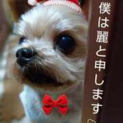 ヒメ日記 2024/12/07 23:30 投稿 れい 奥鉄オクテツ和歌山