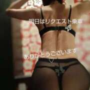 ヒメ日記 2024/12/15 19:27 投稿 れい 奥鉄オクテツ和歌山