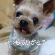 ヒメ日記 2025/01/06 18:29 投稿 れい 奥鉄オクテツ和歌山