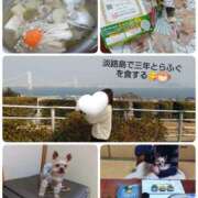 ヒメ日記 2025/01/25 12:23 投稿 れい 奥鉄オクテツ和歌山