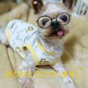 ヒメ日記 2025/02/11 23:50 投稿 れい 奥鉄オクテツ和歌山