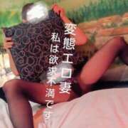 ヒメ日記 2025/02/21 13:33 投稿 れい 奥鉄オクテツ和歌山