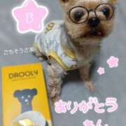 ヒメ日記 2025/02/21 16:06 投稿 れい 奥鉄オクテツ和歌山