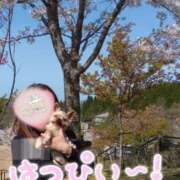 ヒメ日記 2025/04/10 10:42 投稿 れい 奥鉄オクテツ和歌山