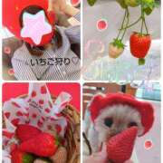 ヒメ日記 2025/05/13 18:25 投稿 れい 奥鉄オクテツ和歌山