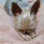 ヒメ日記 2025/05/23 15:23 投稿 れい 奥鉄オクテツ和歌山