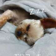 ヒメ日記 2025/06/17 11:41 投稿 れい 奥鉄オクテツ和歌山