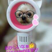 ヒメ日記 2025/07/30 12:00 投稿 れい 奥鉄オクテツ和歌山