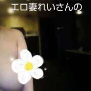 ヒメ日記 2025/08/12 16:05 投稿 れい 奥鉄オクテツ和歌山