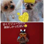 ヒメ日記 2025/09/01 13:33 投稿 れい 奥鉄オクテツ和歌山