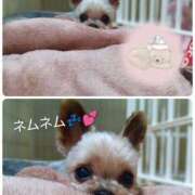 ヒメ日記 2025/10/11 12:03 投稿 れい 奥鉄オクテツ和歌山