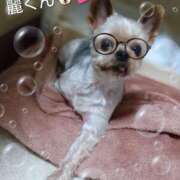 ヒメ日記 2025/10/14 16:22 投稿 れい 奥鉄オクテツ和歌山