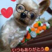 ヒメ日記 2025/10/24 18:13 投稿 れい 奥鉄オクテツ和歌山