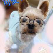 ヒメ日記 2025/11/03 22:05 投稿 れい 奥鉄オクテツ和歌山