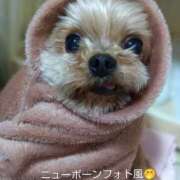 ヒメ日記 2025/11/15 15:53 投稿 れい 奥鉄オクテツ和歌山