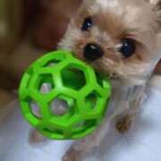 ヒメ日記 2025/11/16 14:50 投稿 れい 奥鉄オクテツ和歌山