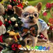 ヒメ日記 2025/12/08 14:12 投稿 れい 奥鉄オクテツ和歌山